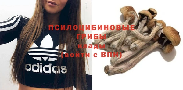 2c-b Навашино