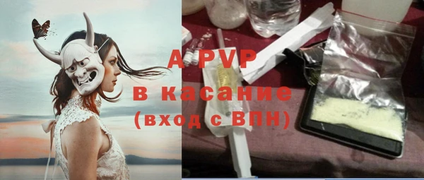 эйфоретик Бикин