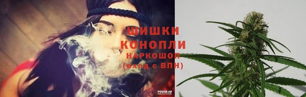 кокс Билибино