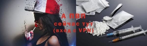 эйфоретик Бикин