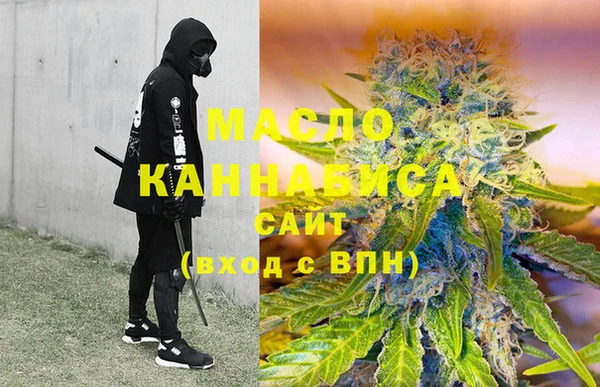 индика Нея